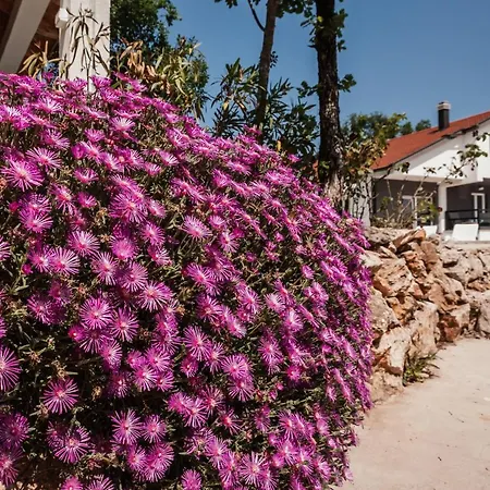 Jelena With Pool & Playground *